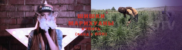 ГАЛЛЮЦИНОГЕННЫЕ ГРИБЫ Нея