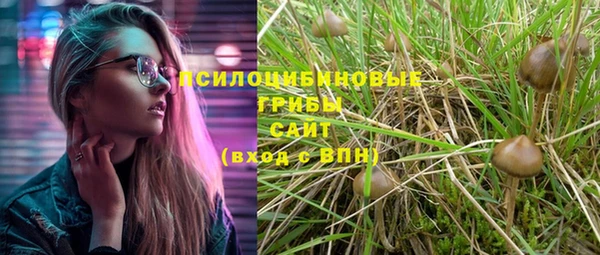 ГАЛЛЮЦИНОГЕННЫЕ ГРИБЫ Нея