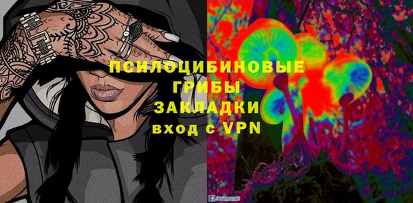 бошки Нефтегорск