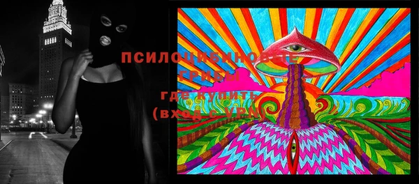 бошки Нефтегорск