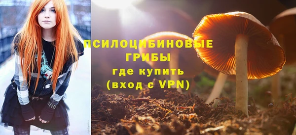 бошки Нефтегорск